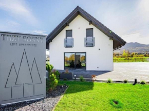 TRZY SOSNY LOFT APARTMENTS, Ściegny